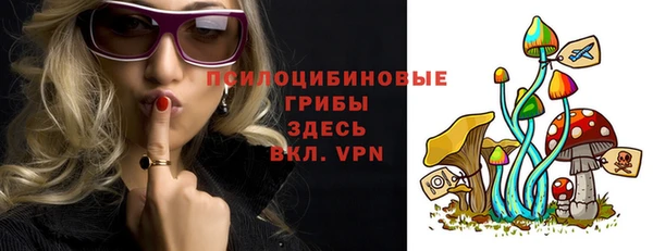 Альфа ПВП Карпинск