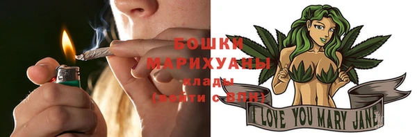 PSILOCYBIN Карталы