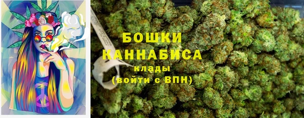 PSILOCYBIN Карталы