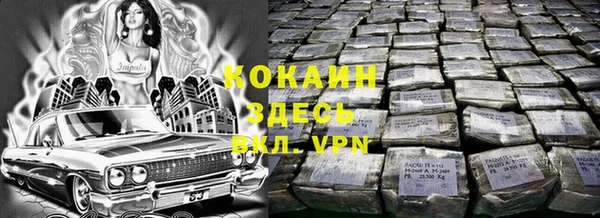 PSILOCYBIN Карталы
