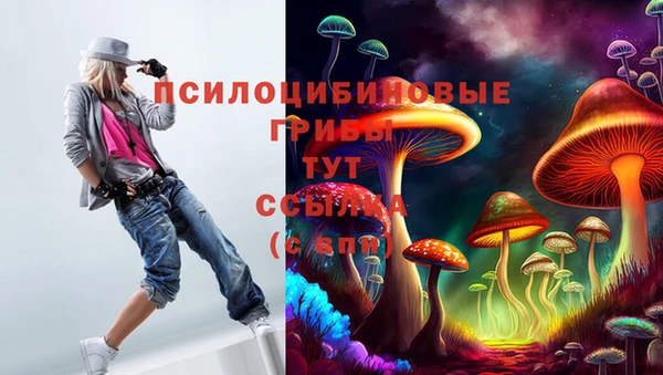 герыч Касимов