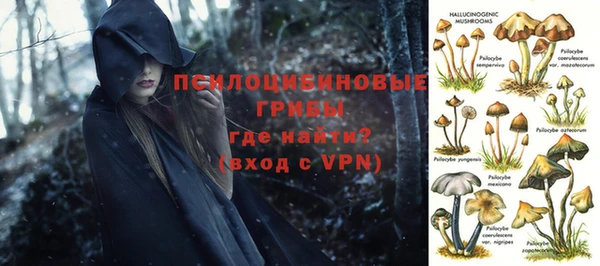 герыч Касимов