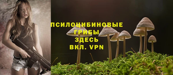 Альфа ПВП Карпинск