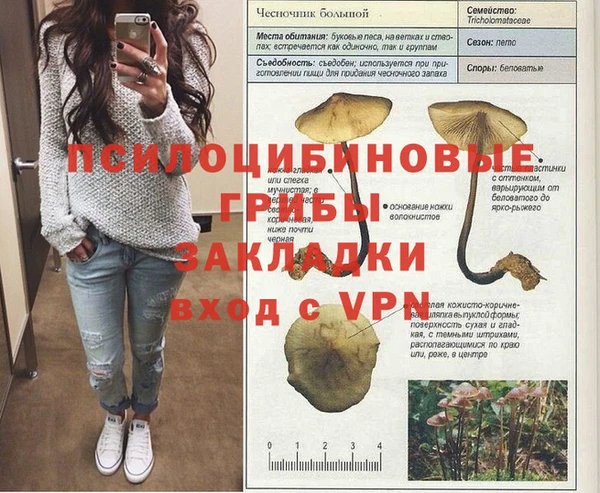 герыч Касимов