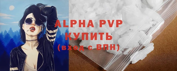 PSILOCYBIN Карталы